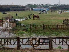 -武汉紫薇都市田园