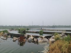 iphone_upload_pic-永定河休闲森林公园