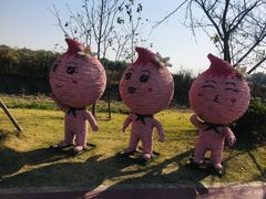 -梁鸿国家湿地公园