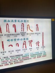-欧兔博士·O2BOX微高压氧舱