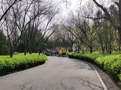-千佛山风景名胜区
