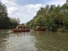 -溱湖国家湿地公园