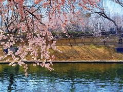 -安定门(地铁站)