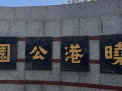 -晓港公园