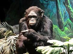 -国家自然博物馆