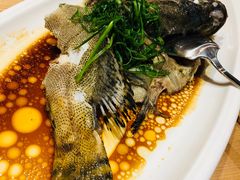 -五谷芳乳鸽王（大梅沙总店C区）(网红打卡店)