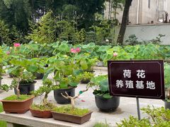 -南园(太仓市)