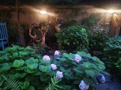-宝翠花园餐厅(沙湖店)