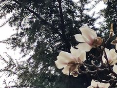 -南京晨光1865创意产业园