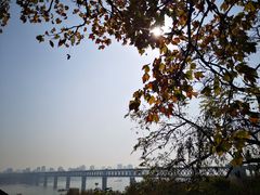 -龟山风景区-龟山电视塔