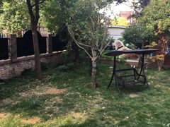 -翊宠yipet猫狗购宠庄园犬舍•猫舍