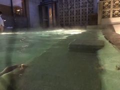 -春晖园度假酒店温泉