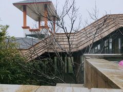 -徂徕山森林康养度假谷温泉