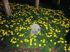 -圩墩遗址公园
