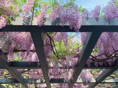 -北京市劳动人民文化宫(太庙)
