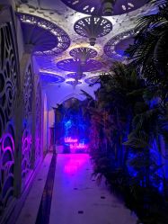 -格乐利雅婚礼艺术中心(南外滩店)