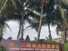 -呀诺达热带雨林