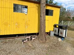 -前小桔亲子创意农场·草莓采摘·露营烧烤