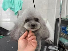 -萌小它宠物健康管理中心(怡海家园店)
