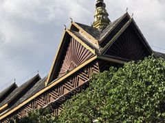 -西双版纳原始森林公园