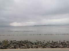 -深圳湾公园(南山区)