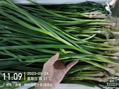 -烹湘·鲜炒湖南土菜(海珠店)