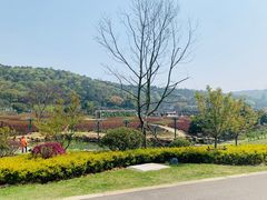 -龙寺生态园