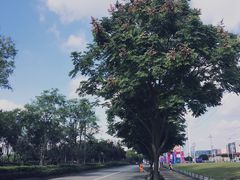 -兔行天下-鸿鹤鲜锅兔(中海国际店)