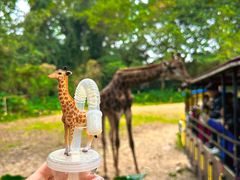 -广州长隆野生动物世界