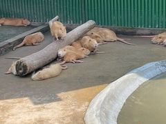 -杭州野生动物世界