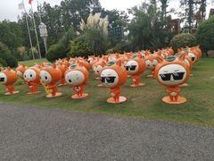 -上海长兴岛郊野公园