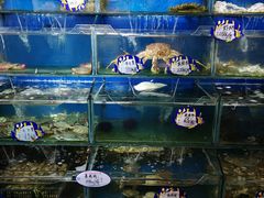 水产区-小船渔村•大连菜•大连焖鱼(明泽街店)