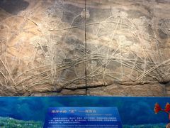 -辽宁古生物博物馆