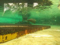 -新加坡水上探险乐园
