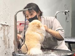 -宠物家(双井店)