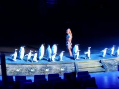 -珠海横琴长隆《卡卡虎奇遇记》