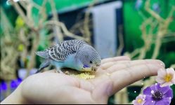 -萌宠亲子动物乐园(槐房万达店)