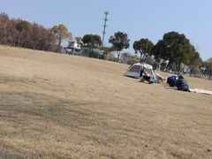 -漕湖湿地公园