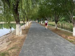 -羊山湖公园