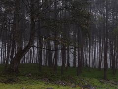 -硗碛藏寨·神木垒景区