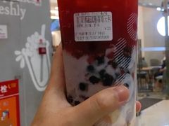 双球冰淇淋霉霉-CoCo都可(嘉兴学院店)