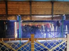 -海合安青岛极地海洋公园