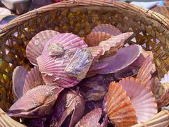 -蚝堡海鲜·威海菜·海肠捞饭·烧烤·亚洲吃蚝公司(幸福门店)