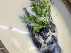 -全乐鱼馆·淳牌有机鱼直营店