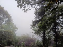 -广州市帽峰山景区
