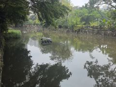 -晓港公园