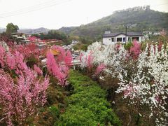 -正宗火盆自助烧烤·烤全羊·柴火鸡(龙泉山店)