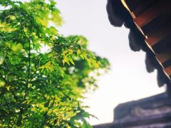 -创艺无限·赵春香微妙艺术馆