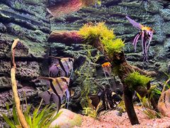 -上海海洋水族馆