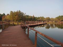 -贡湖湾湿地公园